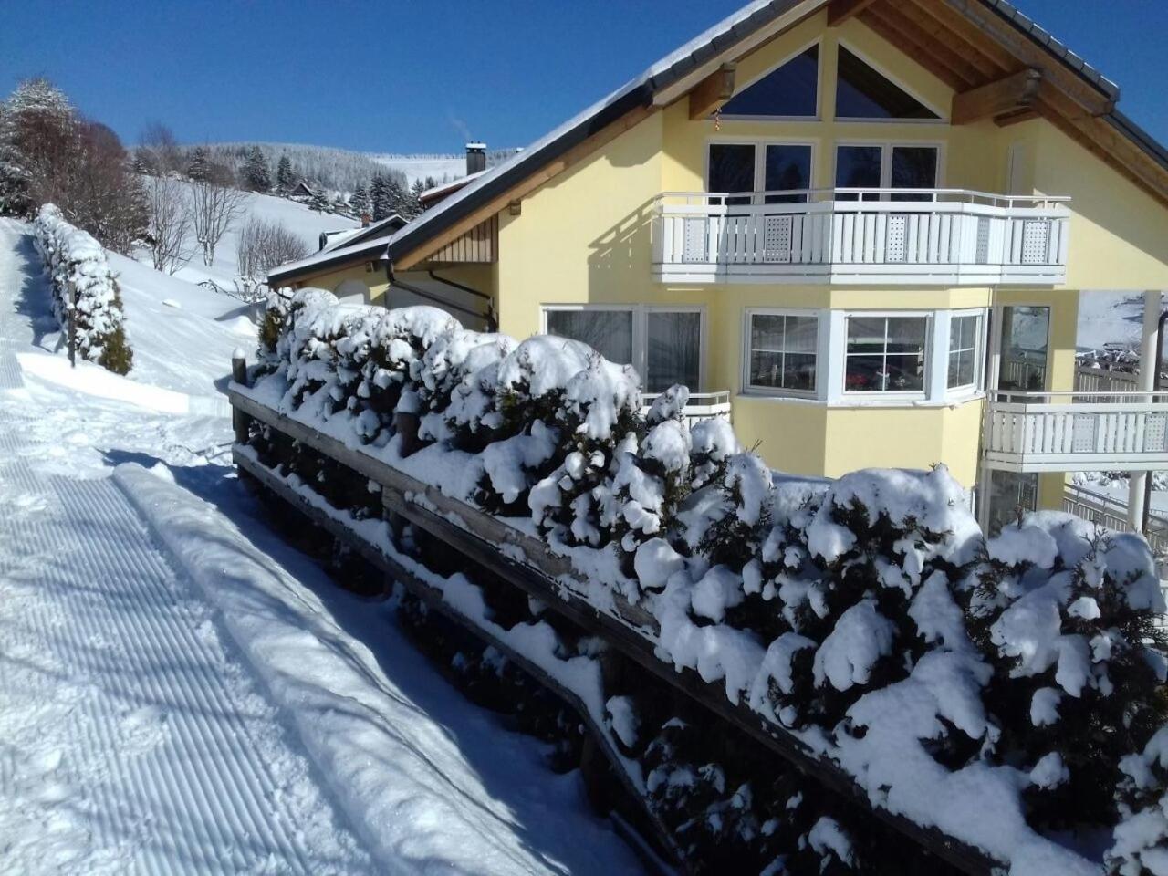 "Schwarzwaldblick" Ferienwohnung 2-4 Pers 65Qm, Schoene Ruhige Suedhanglage Mit Herrl Aussicht Тодтнау Екстер'єр фото