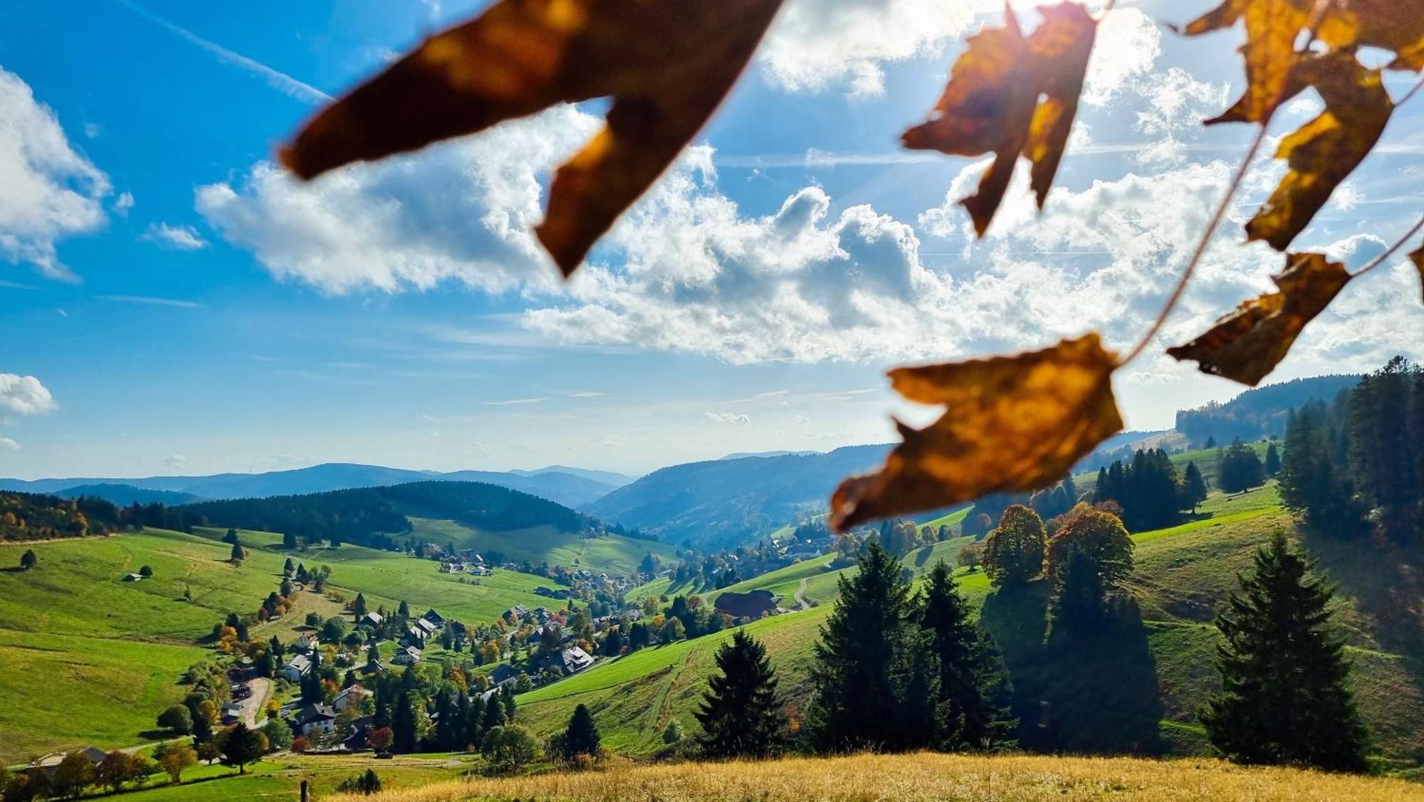 "Schwarzwaldblick" Ferienwohnung 2-4 Pers 65Qm, Schoene Ruhige Suedhanglage Mit Herrl Aussicht Тодтнау Екстер'єр фото