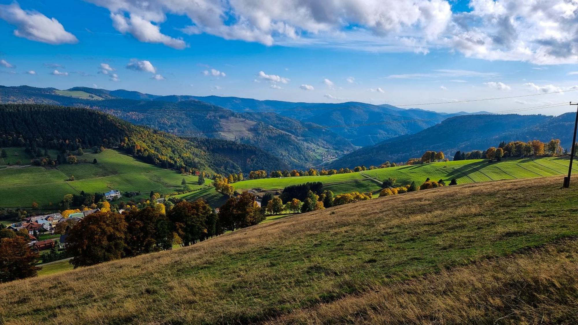 "Schwarzwaldblick" Ferienwohnung 2-4 Pers 65Qm, Schoene Ruhige Suedhanglage Mit Herrl Aussicht Тодтнау Екстер'єр фото